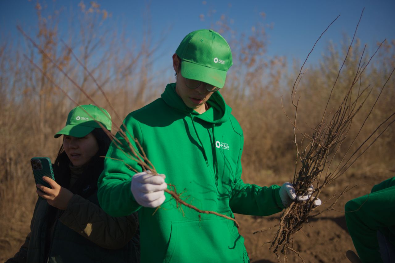 Halyk орманы, волонтёры, студенты и представители фонда Halyk высаживают 7 500 саженцев яблонь в зелёном поясе Астаны, Фоторепортаж Карлыгаш Нуржан для Shanger.kz.