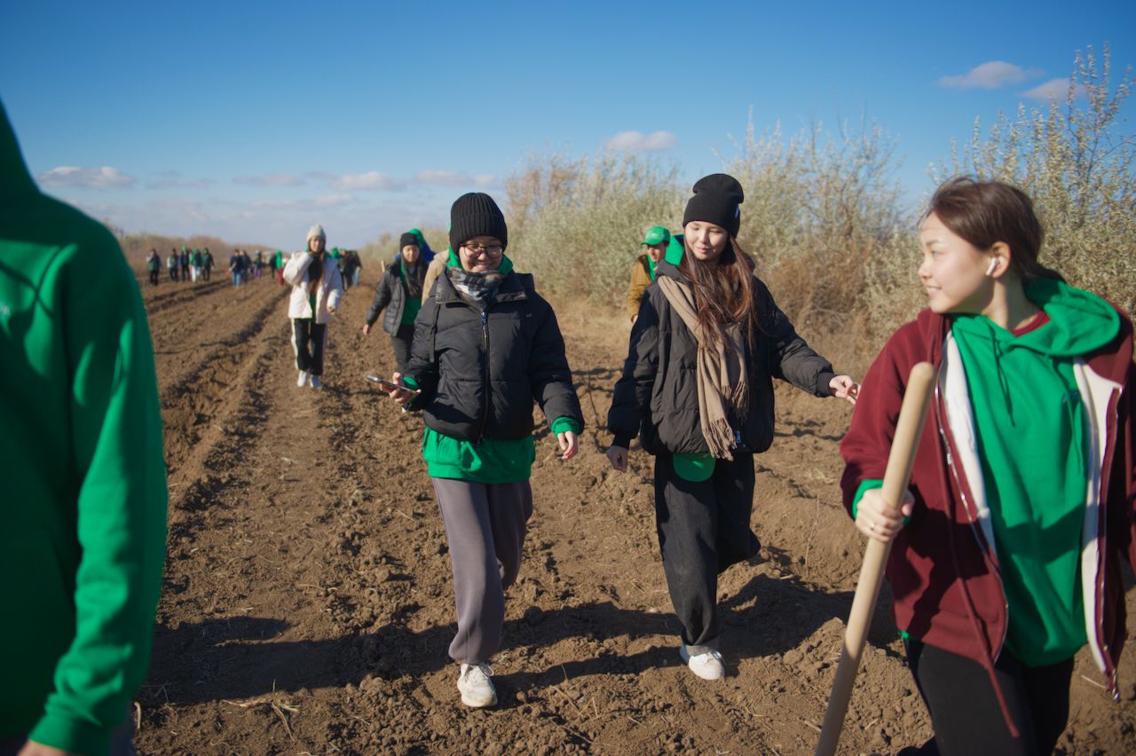 Halyk орманы, волонтёры, студенты и представители фонда Halyk высаживают 7 500 саженцев яблонь в зелёном поясе Астаны, Фоторепортаж Карлыгаш Нуржан для Shanger.kz.