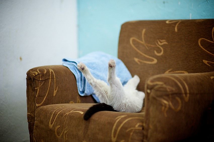 Американский волонтер Джонатан Рибел преподает английский язык в селе Шаульдер Южно-Казахстанской области, осваивает казахский язык и сельский быт, Джонатан Рибел, Корпус мира, село Шаульдер, английский язык, Казахстан, волонтер, сельская школа, Карлыгаш Нуржан, Shanger.kz