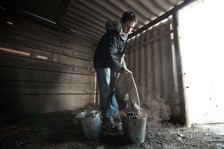 Американский волонтер Джонатан Рибел преподает английский язык в селе Шаульдер Южно-Казахстанской области, осваивает казахский язык и сельский быт, Джонатан Рибел, Корпус мира, село Шаульдер, английский язык, Казахстан, волонтер, сельская школа, Карлыгаш Нуржан, Shanger.kz