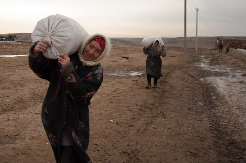 Женщины несут мешки по сельской дороге, одна улыбается в камеру женщины, мешки, степь, фермеры, верблюжье хозяйство