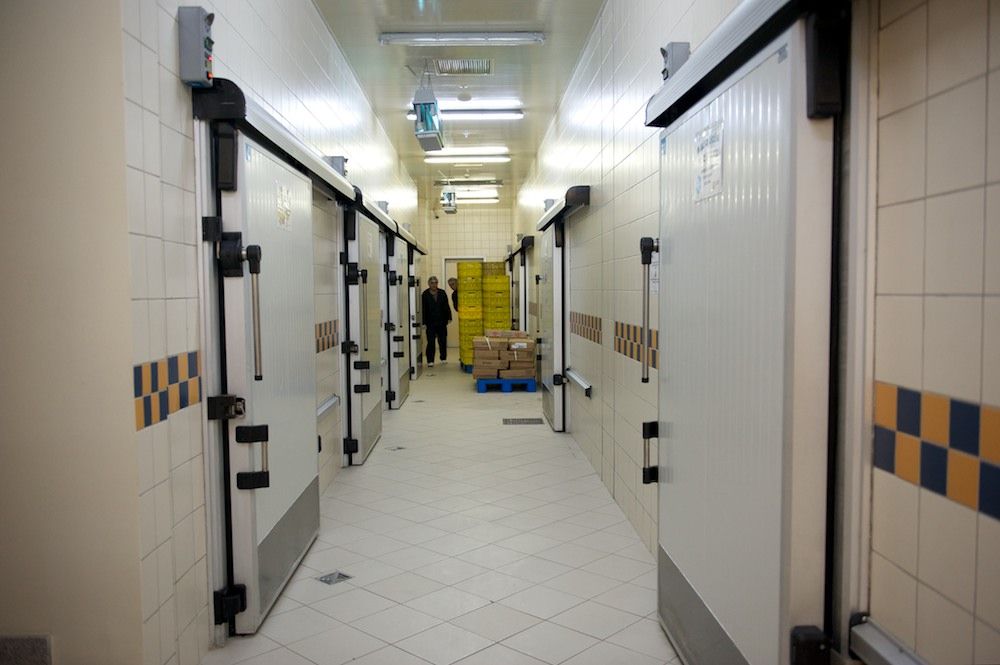 Процесс приготовления и доставки бортового питания авиакомпании Air Astana — от цеха в Актобе до рейсов в Казахстане и за рубежом, бортовое питание, Air Astana, Казахстан, Актобе, авиаперелёты, еда в самолёте, авиация, кейтеринг, Shanger.kz, Карла Нур