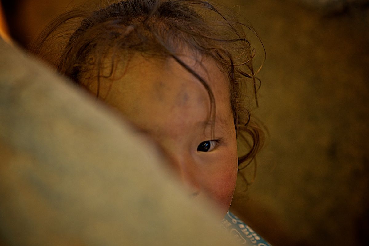 Экспедиция «По следам Чингисхана» проходит по древним местам Монголии — Каракоруму, Орхону и мемориалам великих тюркских и монгольских правителей. Монголия, Чингисхан, Каракорум, Великая степь, экспедиция, история, тюркские племена, культура, археология, Карлыгаш Нуржан, Shanger.kz