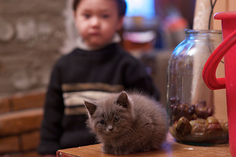Многодетные матери и семьи в Павлодаре, получающие поддержку от фонда «Ассоциация многодетных матерей», многодетные семьи, Павлодар, фонд Ассоциация многодетных матерей, одинокие матери, социальная помощь, Карлыгаш Нуржан, Shanger.kz
