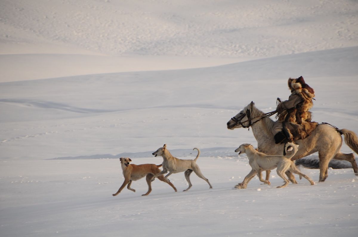 История ислама в Казахстане: образование, объединение степных племён, сохранение идентичности, нравственные ориентиры и традиция милосердия к животным. Казахстан, ислам в Казахстане, светское государство, история Казахстана, Золотая Орда, Джанибек-хан, исламское образование, медресе, русификация, национальная идентичность, религия и общество, алкоголизм в Казахстане, исламское возрождение, мечети Казахстана, милосердие к животным, казахская культура, Жеті қазына, этика и религия