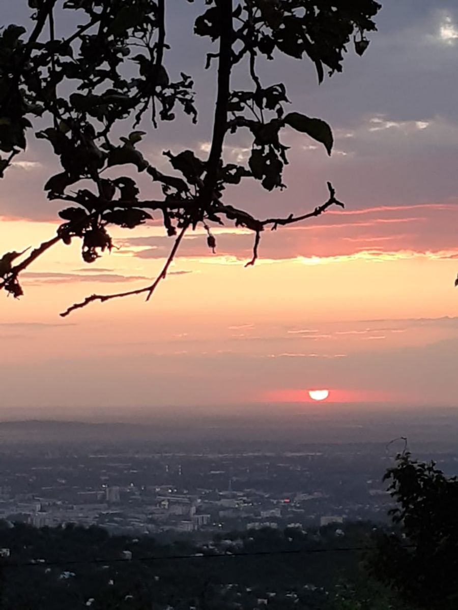 Ростислав Кобец — особенный автор с синдромом Дауна, участник проекта «Особое мнение» Huawei, фотограф и актёр инклюзивного театра, особое мнение, Ростислав Кобец, Huawei, инклюзия, синдром Дауна, особенные люди, Казахстан, фоторепортаж, социальный проект, Карлыгаш Нуржан, Shanger.kz