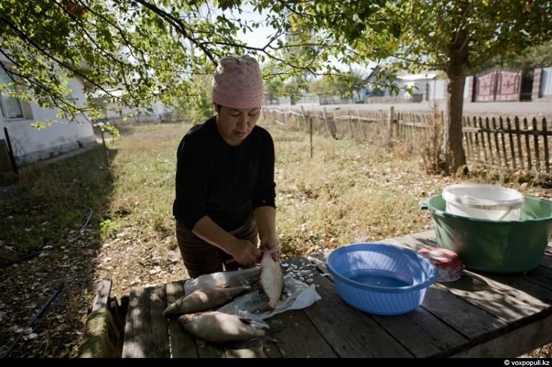 Жизнь рыбаков в селе Кольды: ежедневный труд, семейные истории и традиции поколений на берегу Капчагайского моря, рыбаки, село Кольды, Капчагай, рыбалка, сельская жизнь, традиции, Астрахань, Арал, Казахстан, Карлыгаш Нуржан, Shanger.kz