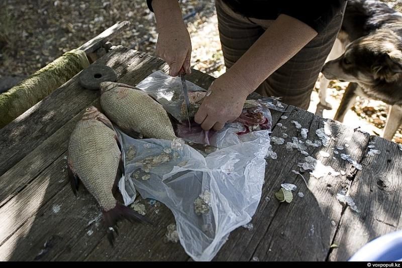 Жизнь рыбаков в селе Кольды: ежедневный труд, семейные истории и традиции поколений на берегу Капчагайского моря, рыбаки, село Кольды, Капчагай, рыбалка, сельская жизнь, традиции, Астрахань, Арал, Казахстан, Карлыгаш Нуржан, Shanger.kz