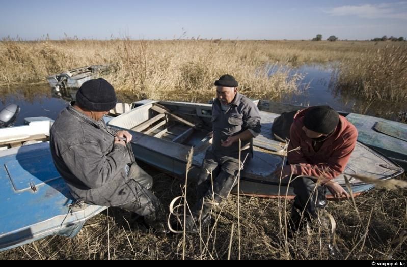 Жизнь рыбаков в селе Кольды: ежедневный труд, семейные истории и традиции поколений на берегу Капчагайского моря, рыбаки, село Кольды, Капчагай, рыбалка, сельская жизнь, традиции, Астрахань, Арал, Казахстан, Карлыгаш Нуржан, Shanger.kz