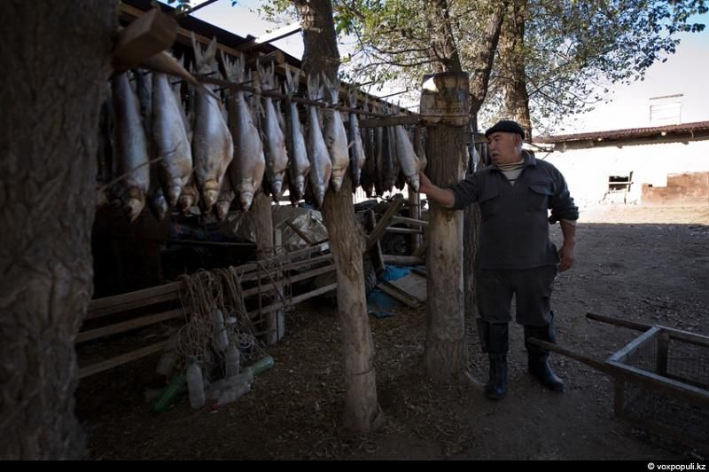 Жизнь рыбаков в селе Кольды: ежедневный труд, семейные истории и традиции поколений на берегу Капчагайского моря, рыбаки, село Кольды, Капчагай, рыбалка, сельская жизнь, традиции, Астрахань, Арал, Казахстан, Карлыгаш Нуржан, Shanger.kz