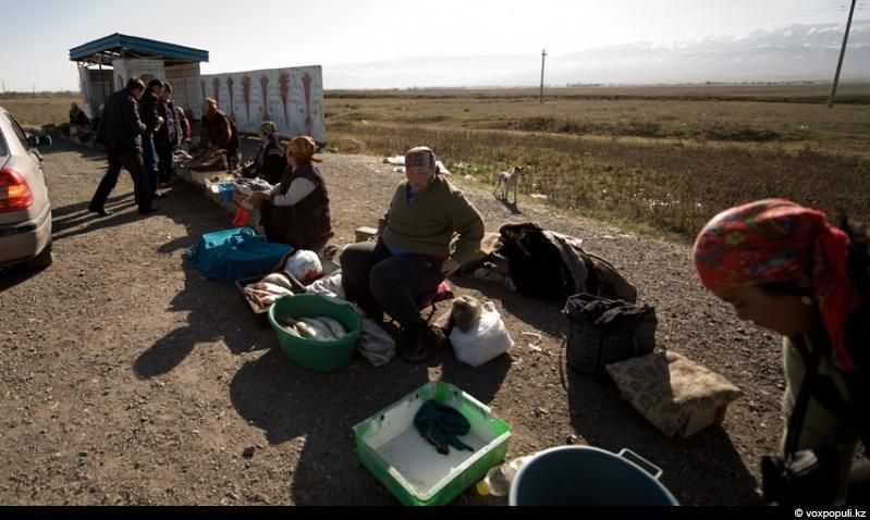 Жизнь рыбаков в селе Кольды: ежедневный труд, семейные истории и традиции поколений на берегу Капчагайского моря, рыбаки, село Кольды, Капчагай, рыбалка, сельская жизнь, традиции, Астрахань, Арал, Казахстан, Карлыгаш Нуржан, Shanger.kz