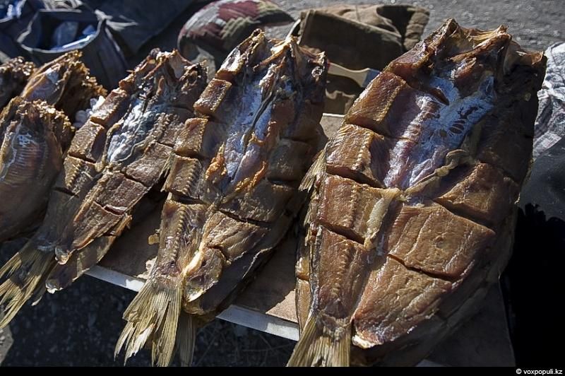 Жизнь рыбаков в селе Кольды: ежедневный труд, семейные истории и традиции поколений на берегу Капчагайского моря, рыбаки, село Кольды, Капчагай, рыбалка, сельская жизнь, традиции, Астрахань, Арал, Казахстан, Карлыгаш Нуржан, Shanger.kz